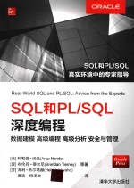 SQL和PL/SQL深度编程  数据建模  高级编程  高级分析  安全与管理