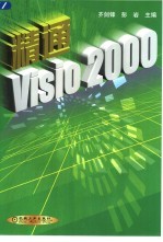 精通Visio 2000