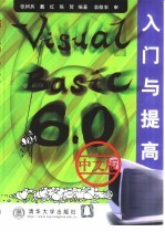 Visual Basic 6.0中文版入门与提高