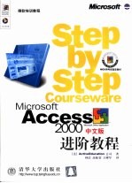 Microsoft Access 2000中文版进阶教程