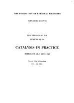 PROCEEDINGS OF THE SYMPOSIUM ON CATALYSIS IN PRACTICE