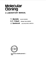 MOLECULAR CLONING--A LABORATORY MANUAL