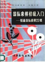 国际象棋初级入门  精通国际象棋20课