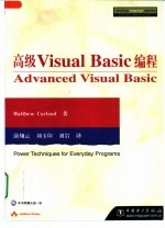 高级Visual Basic编程