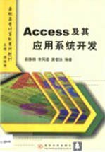 Access及其应用系统开发