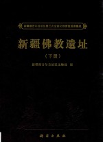 新疆维吾尔自治区第三次全国文物普查成果集成  新疆佛教遗址  下