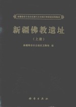 新疆维吾尔自治区第三次全国文物普查成果集成  新疆佛教遗址  上