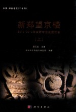 中国·郑州考古 新郑望京楼 2010-2012年田野考古发掘报告 上