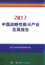 中国战略性新兴产业发展报告  2017