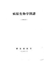 病原生物学图谱