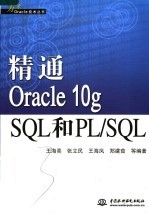 精通ORACLE 10G SQL和PL/SQL