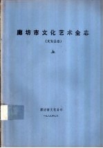 廊坊市文化艺术全志 文安县卷 下