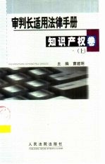 审判长适用法律手册  知识产权卷  下