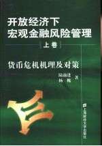 开放经济下宏观金融风险管理 上 货币危机机理及对策