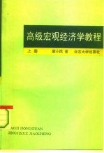 高级宏观经济学教程 下