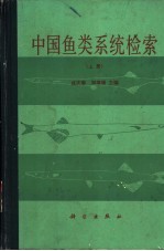 中国鱼类系统检索 下