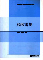 财政学国家级特色专业建设用书教材 税收筹划