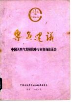 专家建议 中国天然气发展战略专家咨询论证会