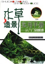 水草造景实用手册 从入门到精通