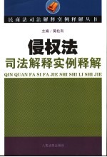 侵权法司法解释实例释解