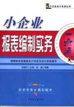 小企业报表编制实务一点通