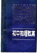 初中物理教案 第2册