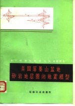 美国落基山盆地砂岩地层圈闭地震模型