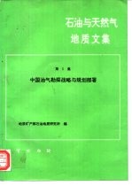 石油与天然气地质文集  第5集  中国油气勘探战略与规划部署