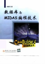 数据库与MIDAS编程技术