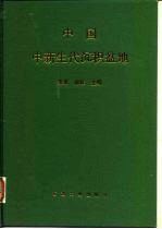 中国中新生代沉积盆地