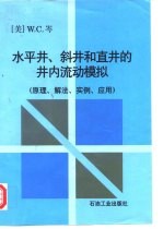 水平井、斜井和直井的井内流动模拟 原理、解法、实例、应用