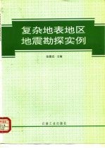 复杂地表地区地震勘探实例