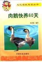 肉鹅快养60天