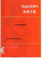 石油与天然气地质文集  第6集  天然气远景评价