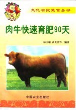 肉牛快速育肥90天