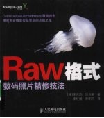 Raw格式数码照片精修技法