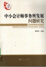 中小会计师事务所发展问题研究