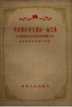 共青团农村支部的一面红旗 共青团海村石支部工作经验介绍