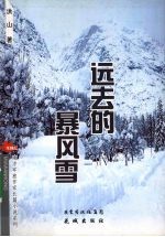 远去的暴风雪