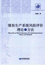 煤炭生产系统风险评价理论与方法