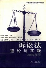 诉讼法理论与实践 2004年卷