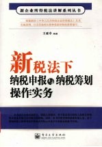 新税法下纳税申报与纳税筹划操作实务