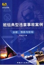 班组典型违章事故案例 分析、预防与控制