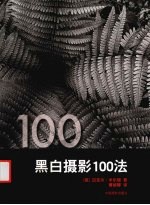 黑白摄影100法