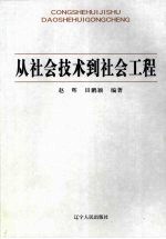 从社会技术到社会工程