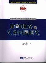 审判理论与实务问题研究