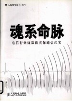 魂系命脉 电信行业抗震救灾保通信纪实