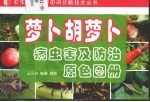 萝卜胡萝卜病虫害及防治原色图册