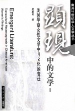 显示中的文学 美国华裔女性文学中的跨文化变迁 英文版