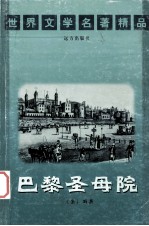 世界文学名著精品 巴黎圣母院 下